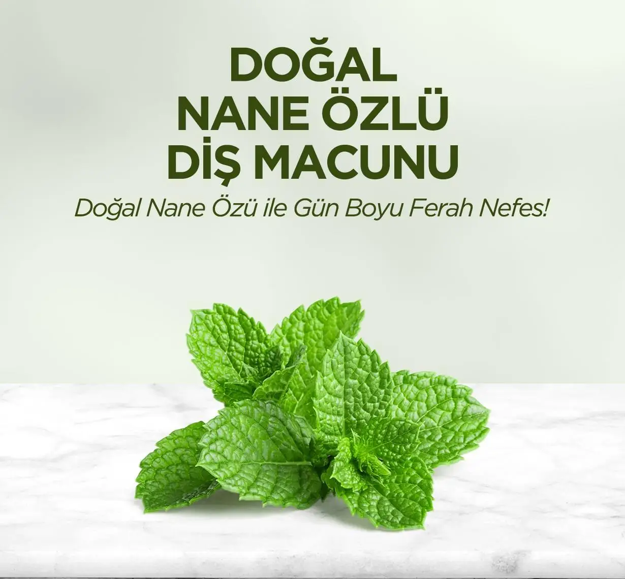 Doğal Nane Özlü Diş Macunu 90 ml